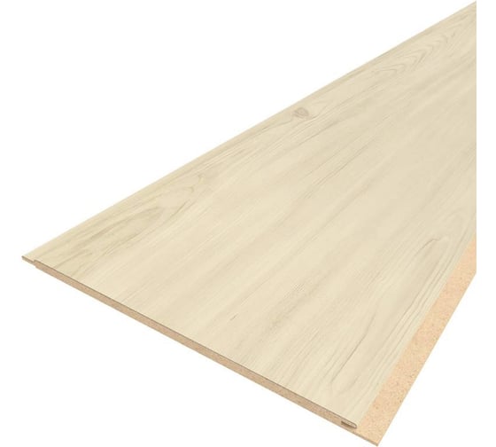 Сосна беленая