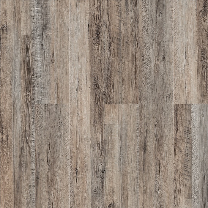 Дуб Французский