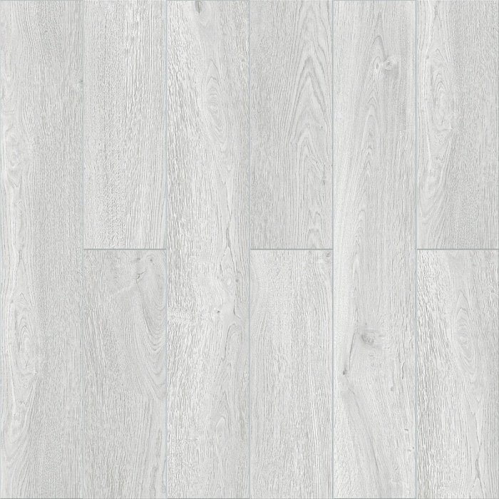 Дуб Серебристый