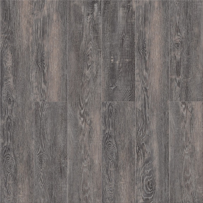 Дуб Мореный