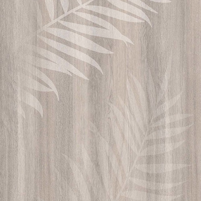 Папоротник