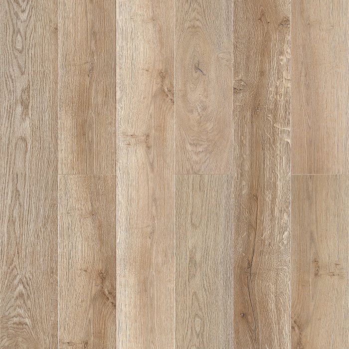 Дуб Светлый