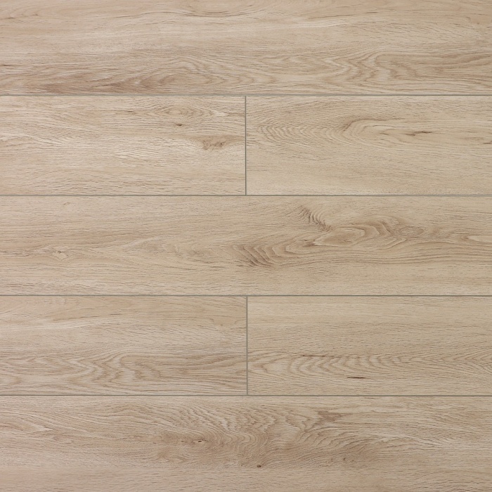 Дуб Клайпеда